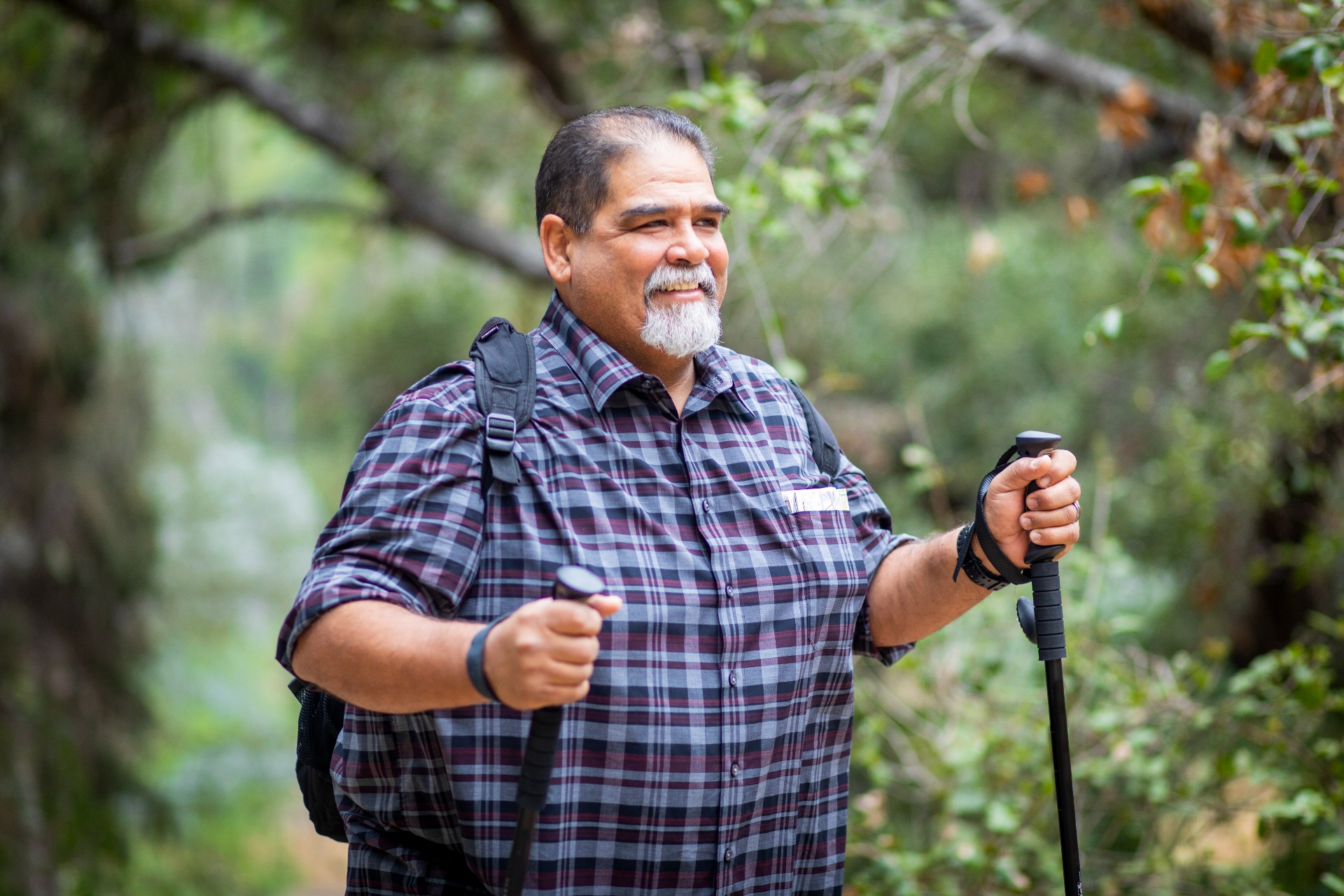 An overweight man with walking sticks hikes in nature.